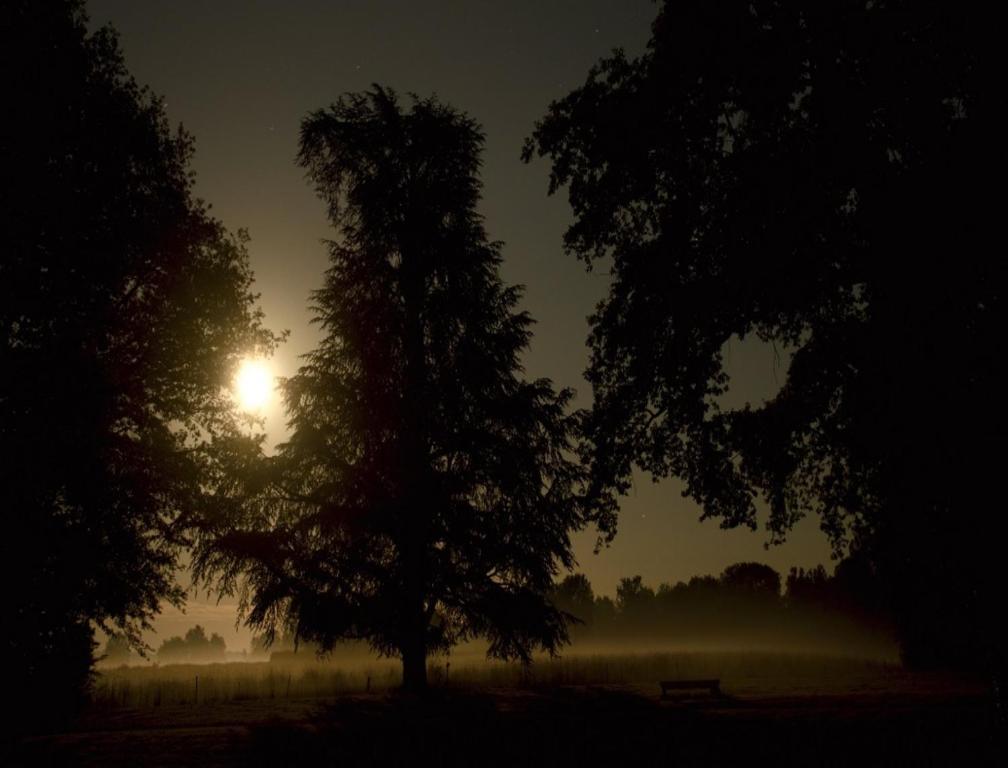 Chateau De Villars Villeneuve-sur-Allier エクステリア 写真