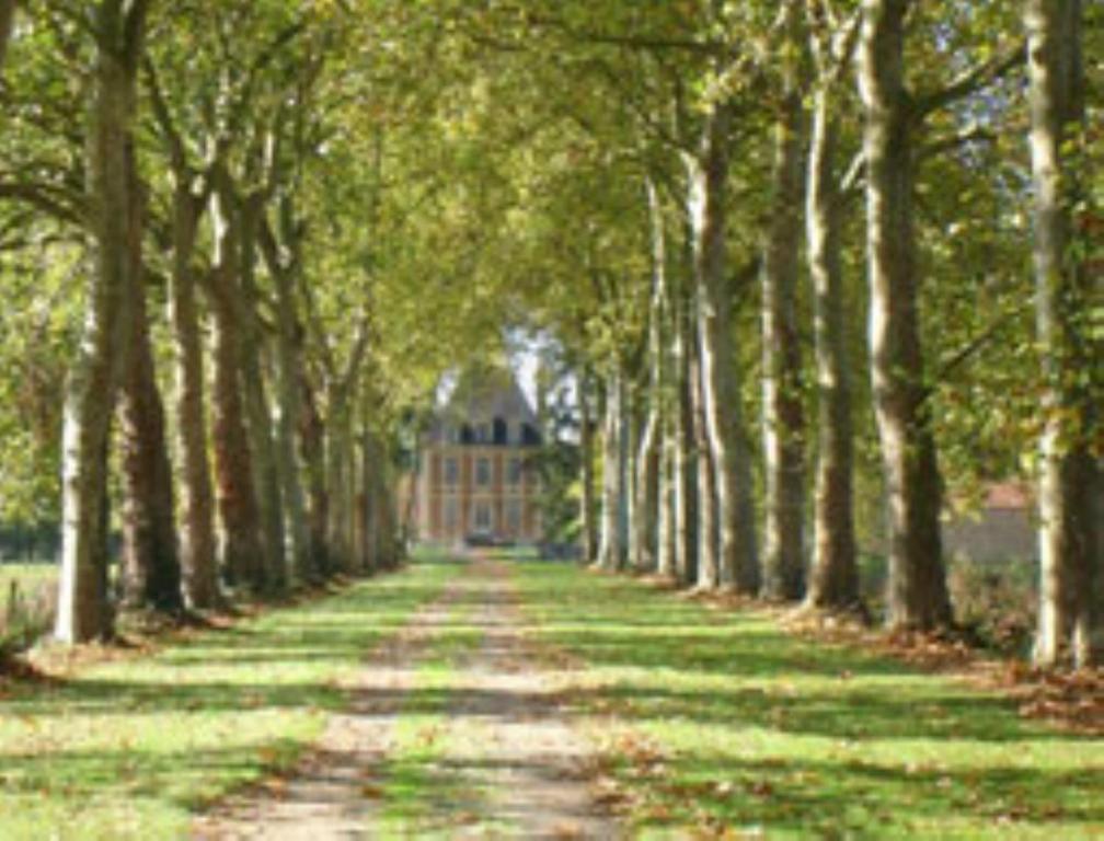 Chateau De Villars Villeneuve-sur-Allier エクステリア 写真