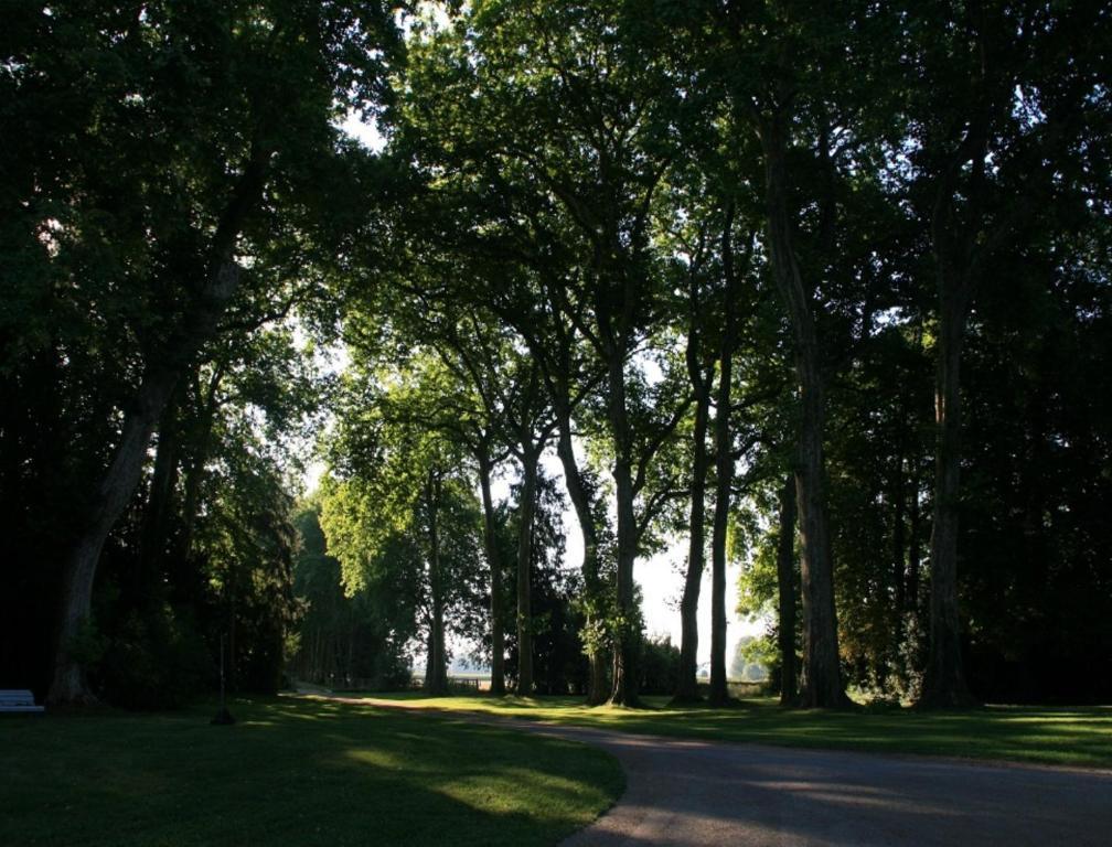 Chateau De Villars Villeneuve-sur-Allier エクステリア 写真