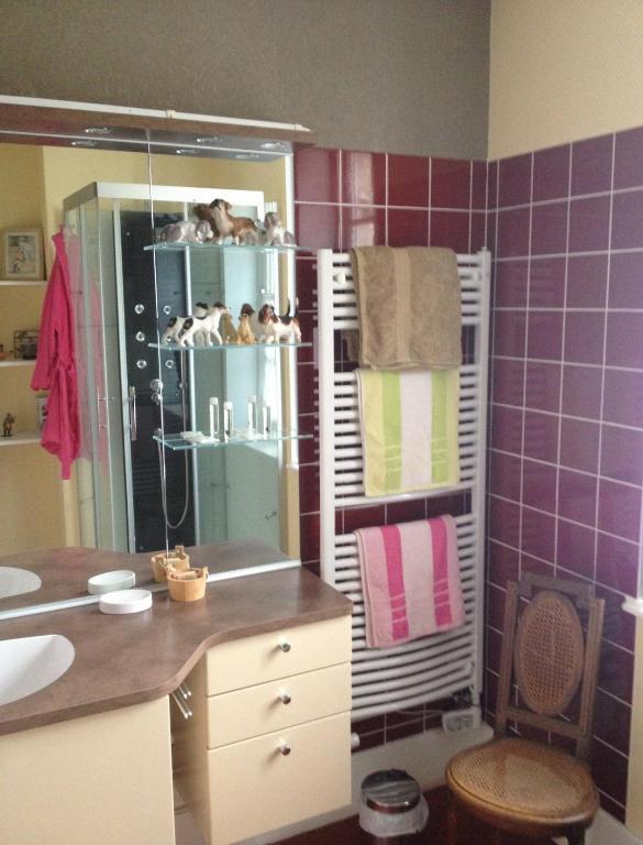 Chateau De Villars Villeneuve-sur-Allier 部屋 写真