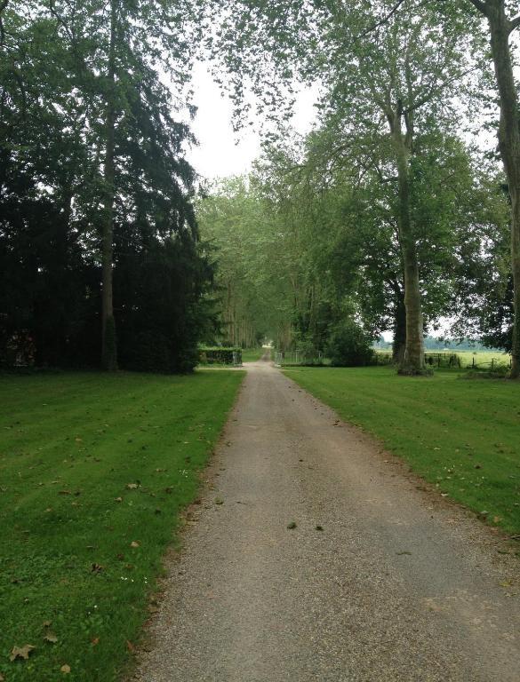 Chateau De Villars Villeneuve-sur-Allier エクステリア 写真